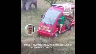 Как Татьяна Алексагина спасала Олега Зубкова, отгоняя льва ведром и веником - рассказ Алексея
