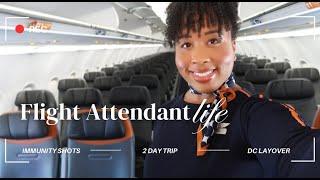 Flight Attendant Life| COME TO WORK WITH ME! DC LAYOVER 2 DAY TRIP| BABY, ITS HOT OUTSIDE