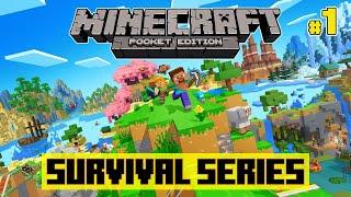 ULTIMATE Minecraft Survival Series! #minecraft #minecraftshorts