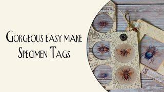 Gorgeous easy make specimen tags