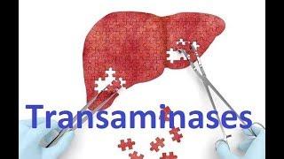 Transaminases   ASAT, ALAT   (SGOT, SGPT)
