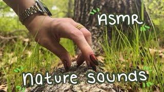 ASMR Nature Sounds! Tapping & Scratching, No Talking