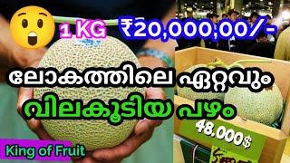 ലോകത്തിലെ ഏറ്റവും വിലകൂടിയ യുബാരി തണ്ണിമത്തൻ ഇതാണ് | Reenas Green Home