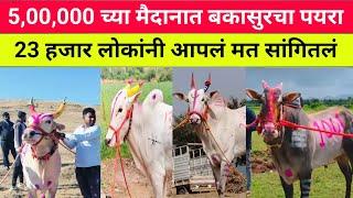 5,00,000 च्या मैदानात बकासुरचा पयरा कोण #bailgada