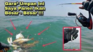 Ngeri Banget !!! Cuma Gara - Gara Umpan Ini Saya Jadi Panen Ikan Babon - Babon