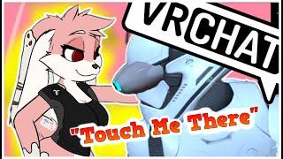 Furries touch me in Public VRchat