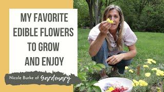 My Favorite Edible Flowers to Grow and Enjoy