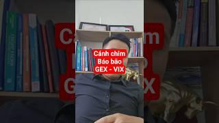 Cánh chim báo bão GEX - VIX #nhadautubmi #chungkhoan #cophhieu #dautuchungkhoan