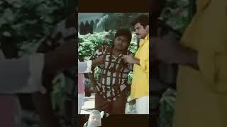 #bollywood #movie #entertainment #comedy #funny #kaderkhan #govinda #anilkapoor #deewanamastanafullm