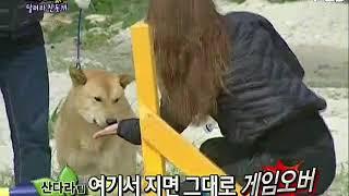 Family outing ep 72 part 20 (sandara park and uee)