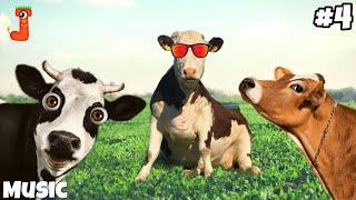 FUNNY COW DANCING VIDEO 4│Cow Song & Cow Videos 2023 | Cow dance mix | funny dancing gay