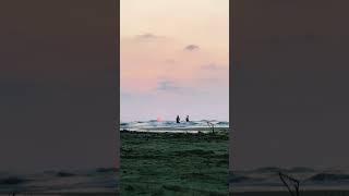 Sunset time lapse #music #beach #love #travel #edm