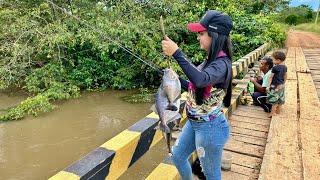 Pescaria de PIRANHA de cima da ponte. Só piranha GRANDE. 