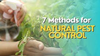 Top 7 Methods for Natural Pest Control