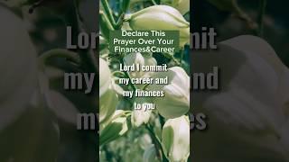 Declare This Prayer Over Your Finances&Career-Prayer By @Rise_inspire42