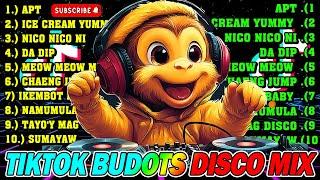 NEW TIKTOK BUDOTS DISCO DANCE REMIX NONSTOP 2024 - TIKTOK REMIX 2024 - BUDOTS DANCE REMIX 2023