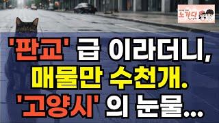 '판교' 급 이라더니, 매물만 수천개. '고양시'의 눈물. 텅 비어가는 충격적 현실! 고양시 지식산업센터, 아파트, 상가 부동산 이야기. 집값전망 하락 폭락 노가다 노비