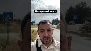 Интересный факт