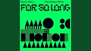 For So Long (Pete Herbert Vocal Mix)