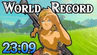 BotW Any% 23:09 [WR]