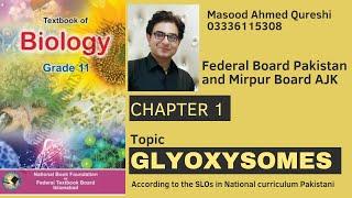 Glyoxysomes | Biology | Grade 11 | Urdu Hindi English | Federal KPK Mirpur Board Pakistan 2024