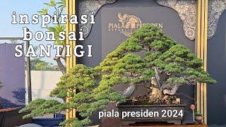 inspirasi bonsai santigi di piala presiden tahun 2024