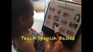 Spanish Learning Folder: Teach All Spanish Basics