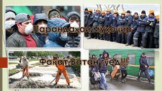 ПАРАНДАҲОИ МУҲОҶИР ФАҚАТ ВАТАН ГӮЕД!!!