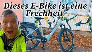 E-Bike DERUIZ Quartz SUV Frechheit was hier für den Preis abgeliefert wird.