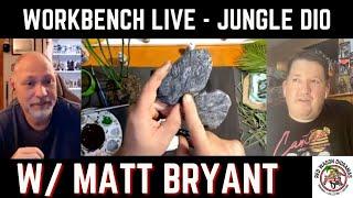 Workbench Live - Predator Jungle Diorama continued... with Matt Bryant