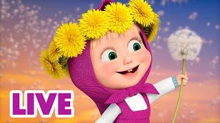  LIVE STREAM  Masha and the Bear ️️ Forces of nature ️