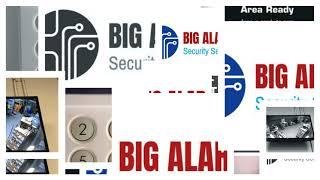 Big Alarm Security Services - Security Devonport