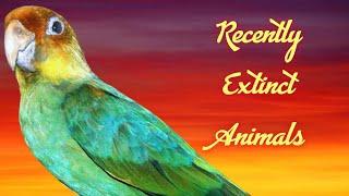 Recently Extinct Animals 4K