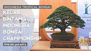 Kelas Bintang Pameran dan Kontes Bonsai " Indonesia Bonsai Championship " 2022 di Jakarta | IBC