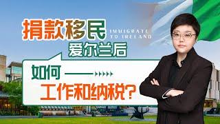 40万欧元捐款移民爱尔兰真的适合普通家庭办理？移民定居爱尔兰能找到什么样的工作，享受哪些福利？