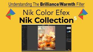 Nik COLLECTION 5: Understanding The Brilliance/Warmth Filter (Nik Color Efex Pro)