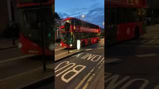 #sightseeing bus #travel #uk #london #youtubeshort   #londontravel #traveluk