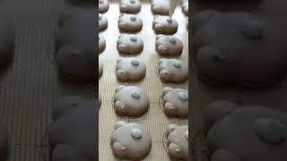 너무 귀여워 너를 어찌 먹누! 곰돌이마카롱 만들기 Teddy Bear Macarons #shorts