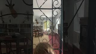 The Hemingway Home & Museum. Key West Florida