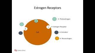 One Bite At a Time: Phytoestrogens in Food and Dietary Supplements | Cedars-Sinai