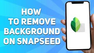 How to Remove Background on Snapseed (2025)