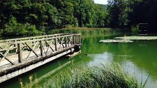 Baselland Tourismus - Ermitage, Arlesheim