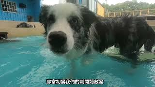 逗狗樂園 採訪