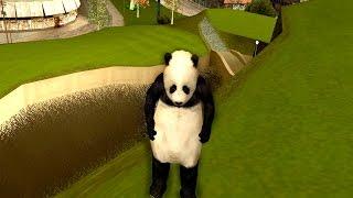 Panda on the Golf Course