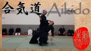 Aikido - Aikijutsu - Rare Gyaku Hanmi technique - Advanced