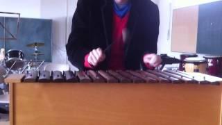 Thomas Krüger – Xylophone – „Scream & Shout“ (will.i.am feat. Britney Spears)