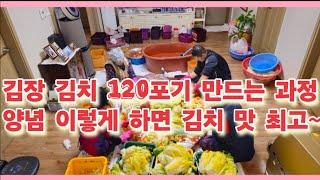 김장 김치 120포기 만드는 전과정 및 김장 양념 이렇게 하면 김치 맛 최고입니다.(농사의신)