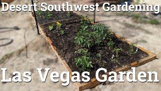 Desert Southwest Garden - In Ground Gardening in Las Vegas