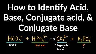 How to Identify Acid, Base, Conjugate Acid, and Conjugate Base Examples and Practice Problems