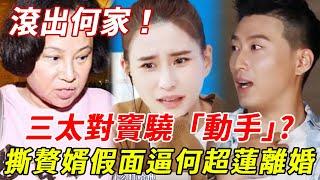 唔忍喇！三太陳婉珍對竇驍「動手」？徹底撕碎贅婿假面，逼何超蓮火速離婚？將佢移出豪門群聊！#竇驍#何超蓮#陳婉珍#HK娛樂台